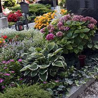 услуги (цветы на кладбище)
